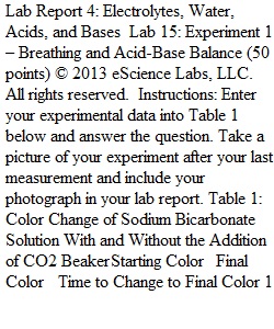 Week 10 Lab Report 4